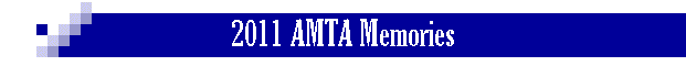 2011 AMTA Memories