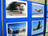 56 Display 3.jpg (91812 bytes)