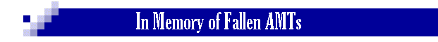 In Memory of Fallen AMTs