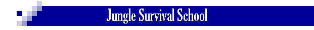 Jungle Survival School
